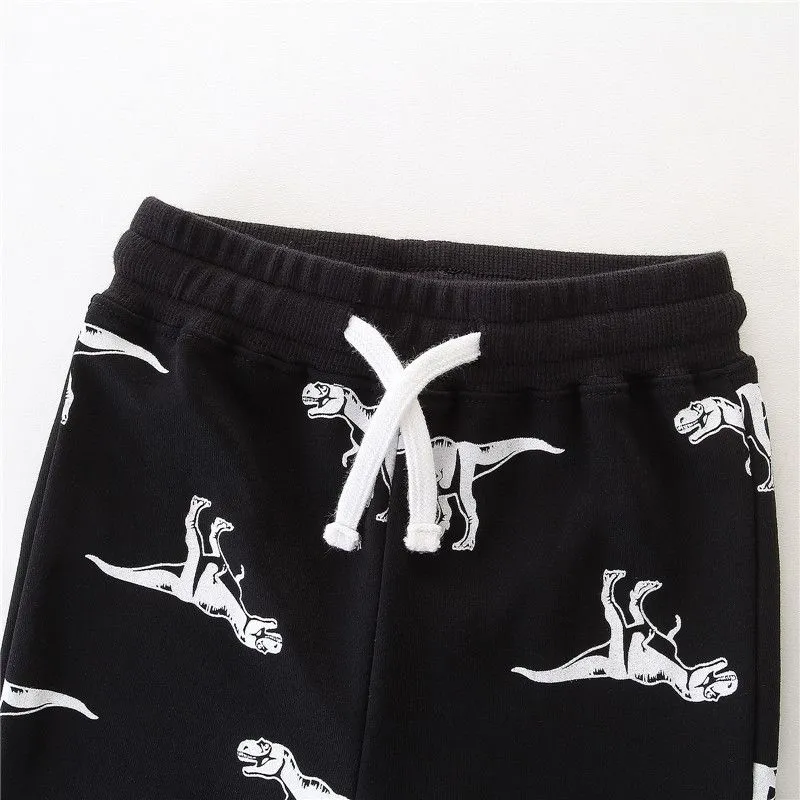 Boys Dinosaur Print Cotton Sweatpants