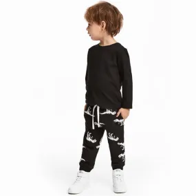Boys Dinosaur Print Cotton Sweatpants