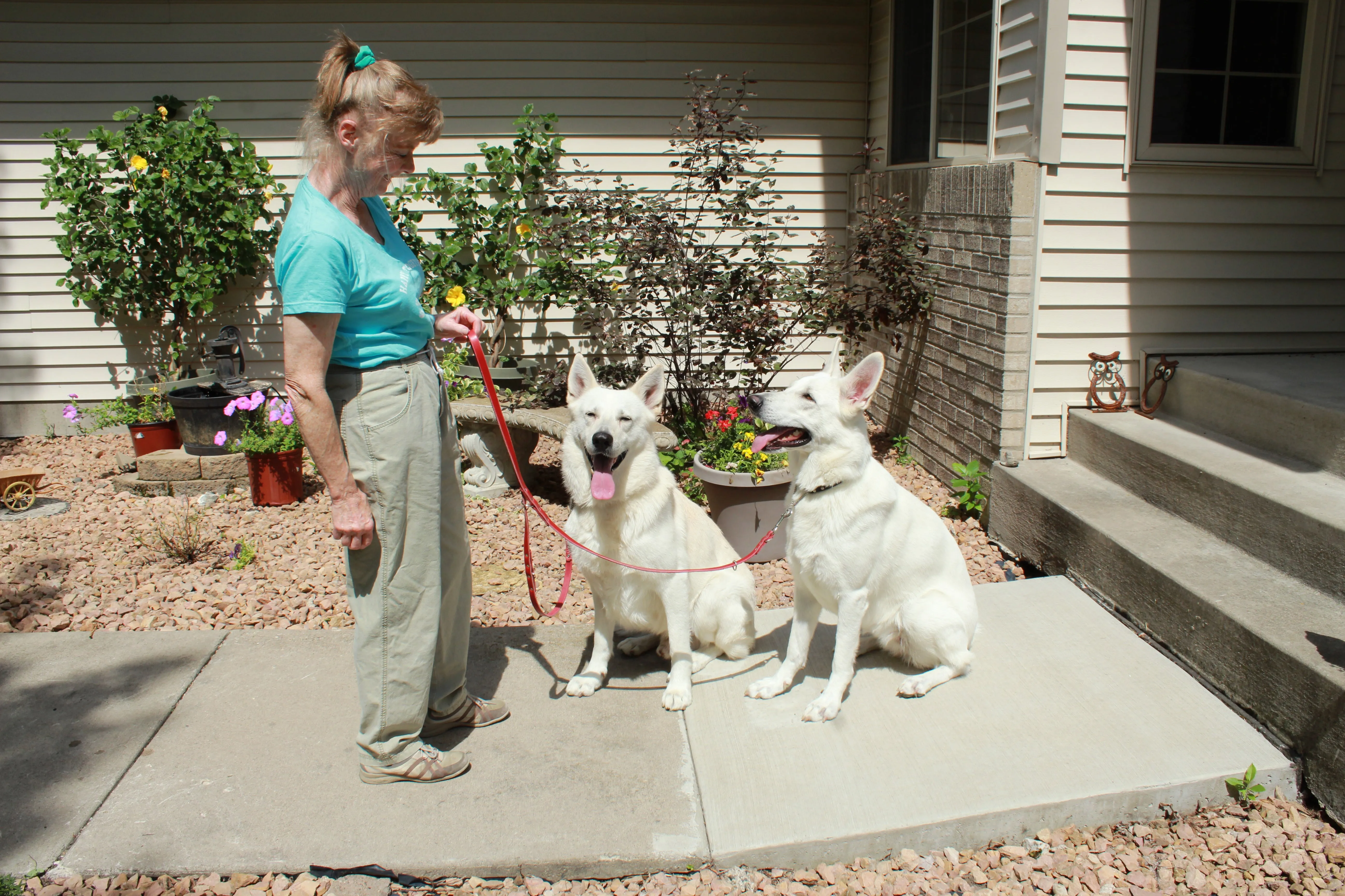 Leather Multi-Purpose Leashes