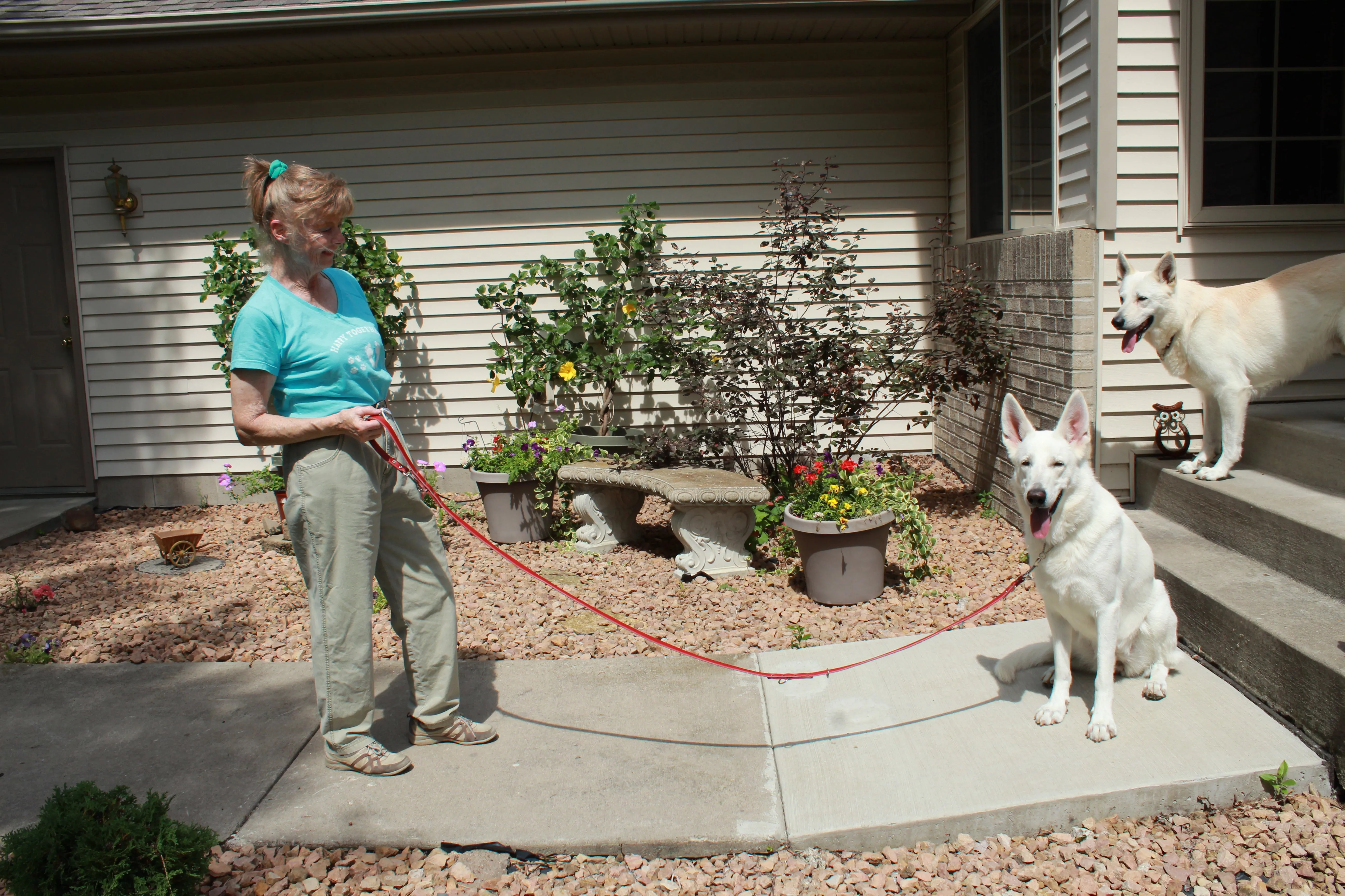 Leather Multi-Purpose Leashes