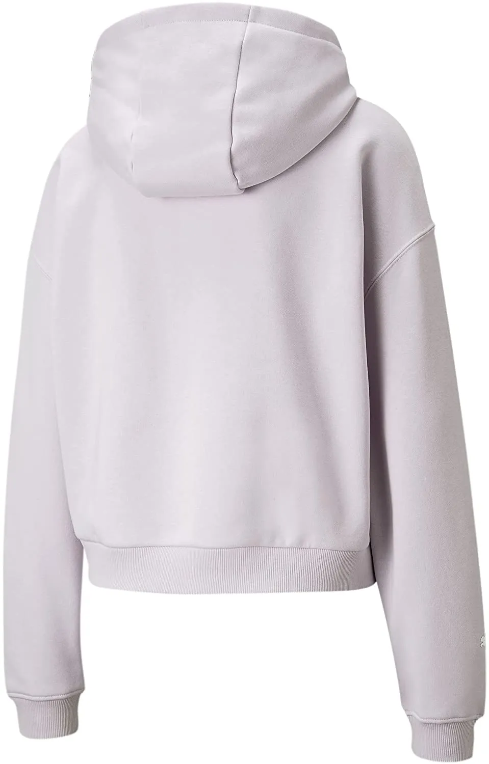 PUMA Women's Standard BMW M Motorsport Essentials Logo Hoodie
