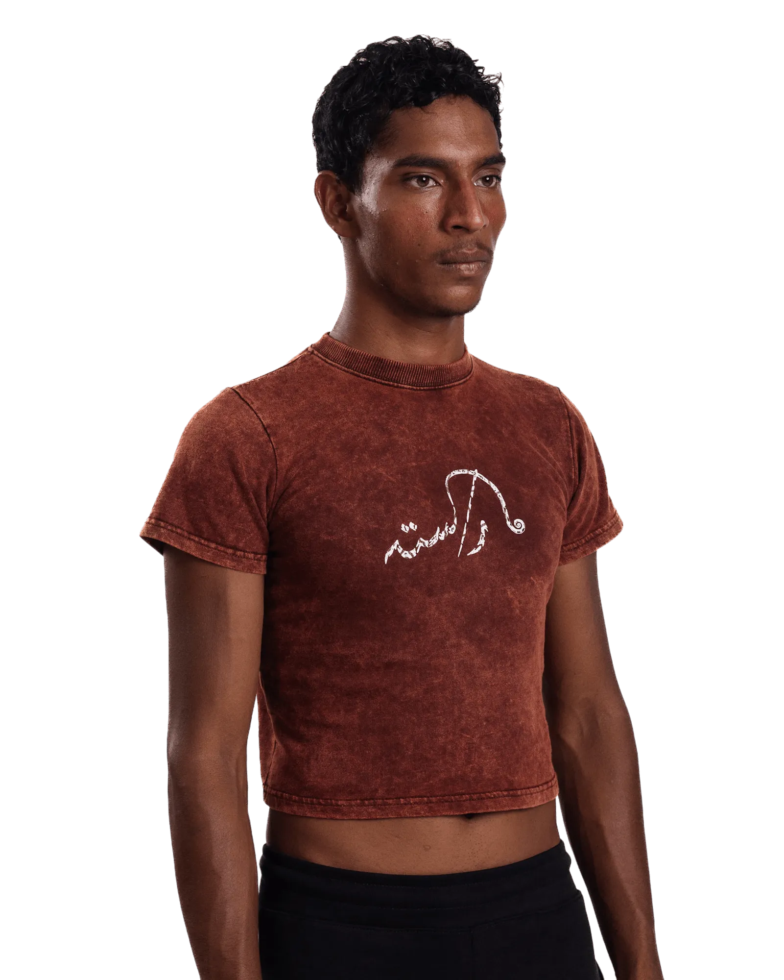 "BURNT SIENNA" CROPPED T-SHIRT