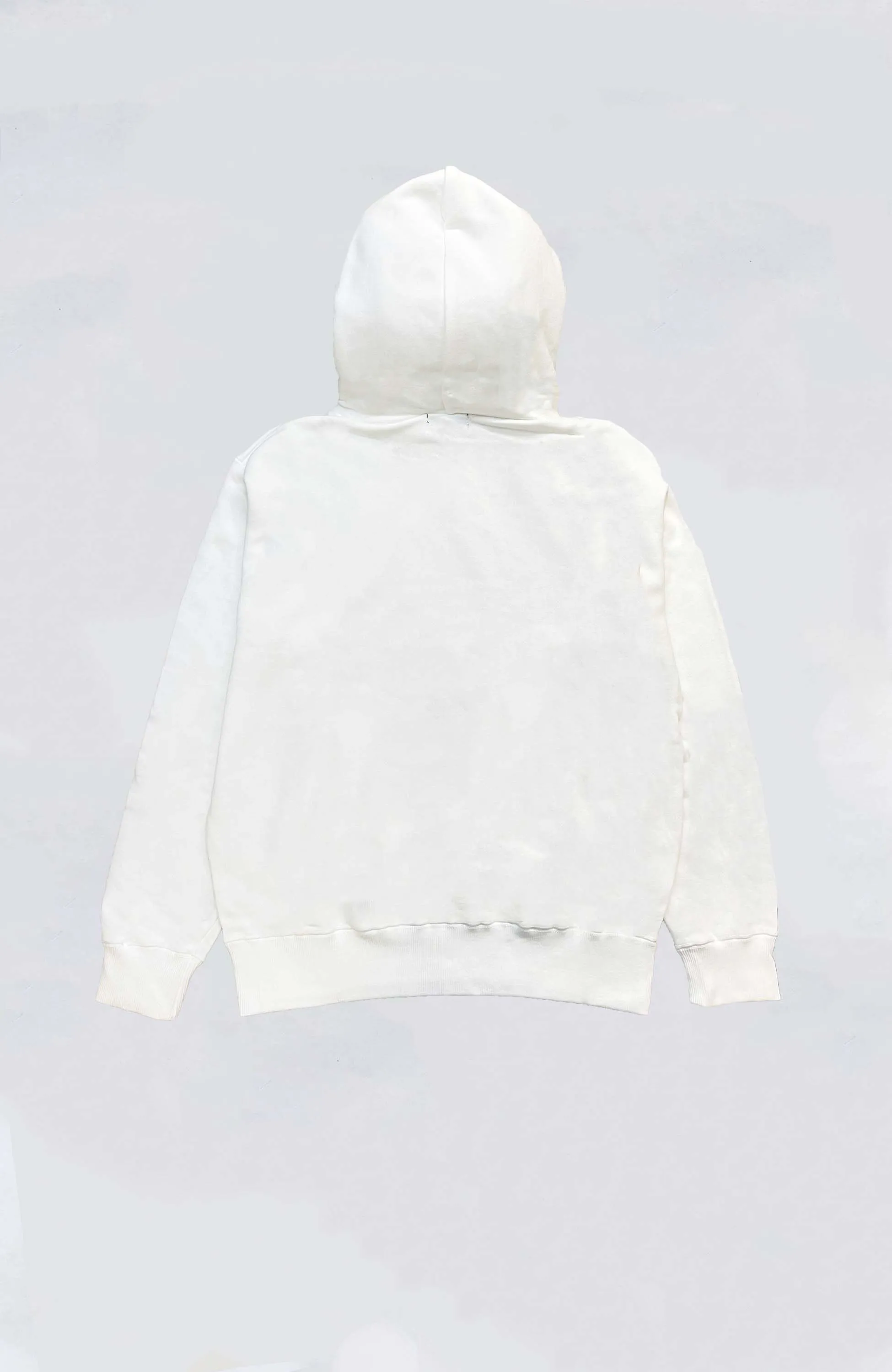 XLARGE - XLRG X ISH Standard Logo Hoodie