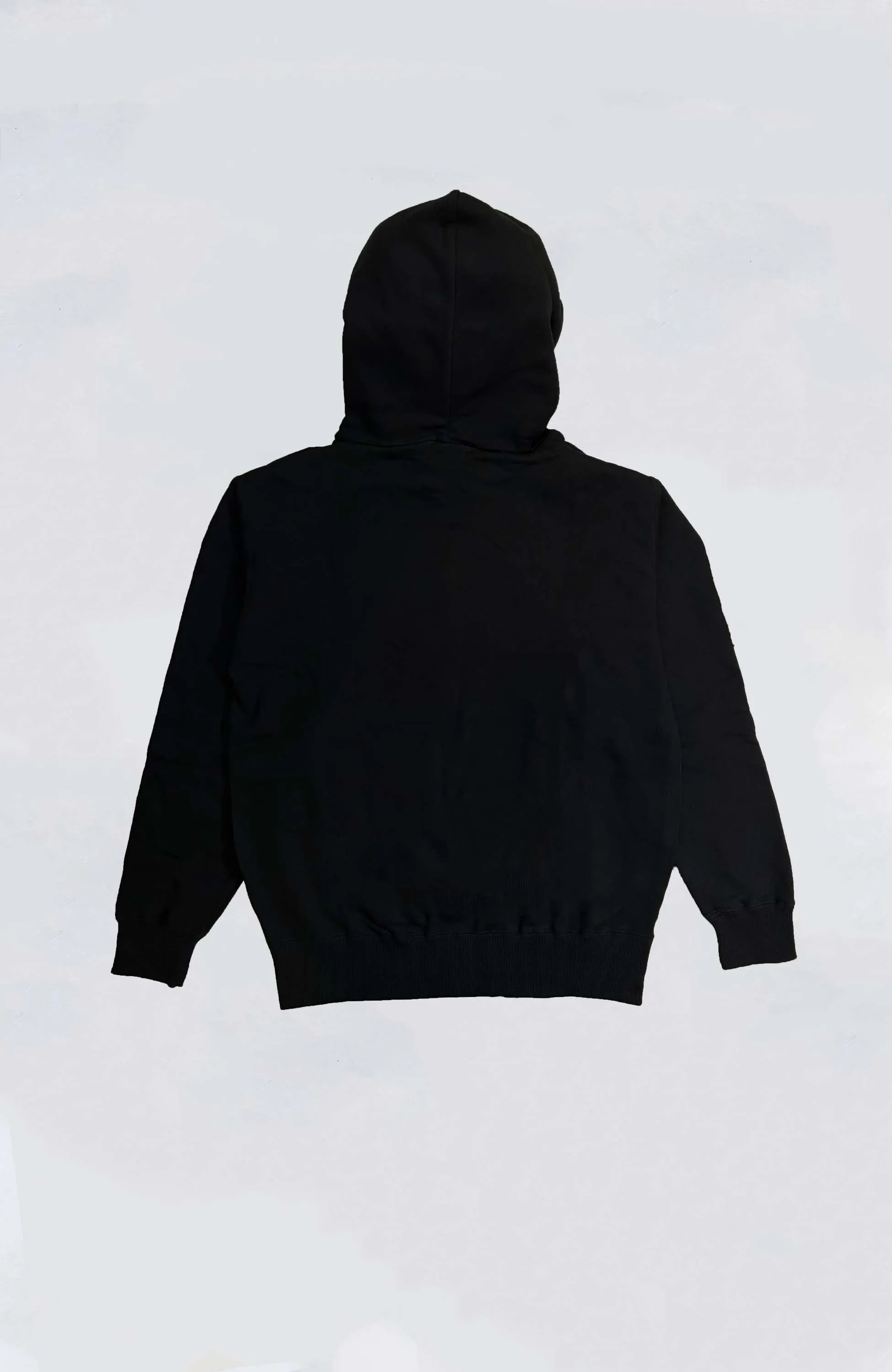 XLARGE - XLRG X ISH Standard Logo Hoodie